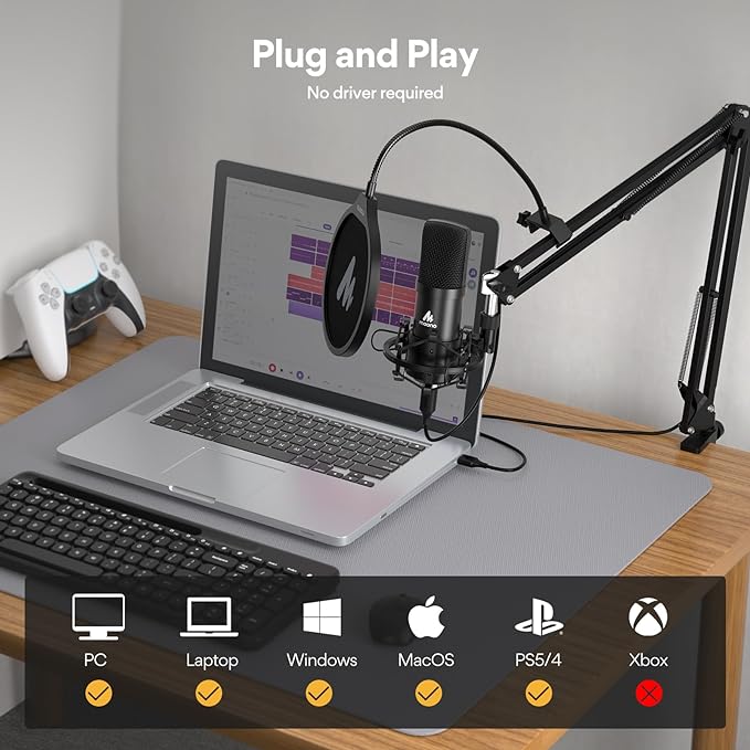 Microphone à Condensateur USB